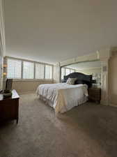 Carpeted bedroom with multiple windows