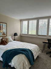 Carpeted bedroom with crown molding