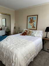 Carpeted bedroom featuring ornamental molding and a closet