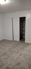 Bedroom with a closet, carpet, and a textured ceiling