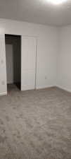 Bedroom with a closet, carpet flooring, and a textured ceiling