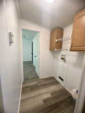 Laundry room featuring carpet floors, a textured ceiling, cabinets, and hookup for a washing machine