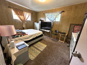 Carpeted bedroom featuring wooden walls