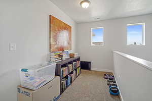 Recreation room featuring carpet floors and a textured ceiling