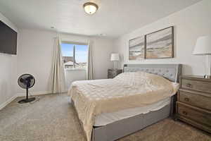 Carpeted bedroom featuring a textured ceiling