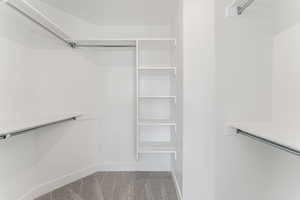 Spacious closet featuring carpet flooring