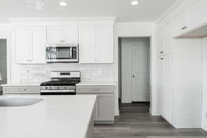 Kitchen featuring tasteful backsplash, white cabinetry, dark hardwood / wood-style flooring, and stainless steel appliances