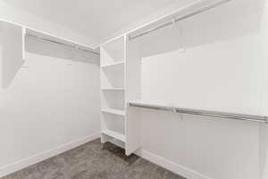 Spacious closet featuring carpet floors