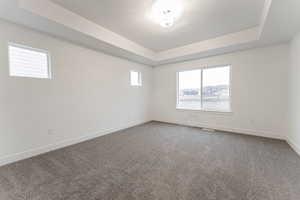 Unfurnished room featuring carpet flooring and a raised ceiling