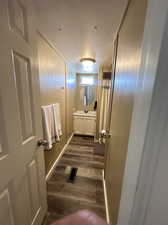 Bathroom with wood-type flooring, vanity, and a textured ceiling