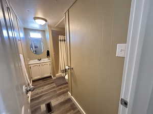 Hall with sink, a textured ceiling, and dark wood-type flooring