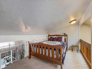 Carpeted bedroom with a textured ceiling and lofted ceiling