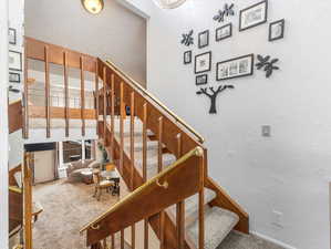 Staircase with carpet flooring