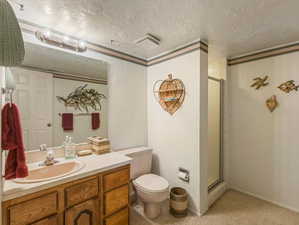 Bathroom with a shower with shower door, vanity, a textured ceiling, and toilet