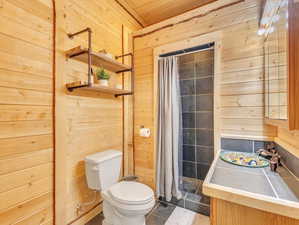 Bathroom with wood walls, tile patterned flooring, toilet, and wooden ceiling