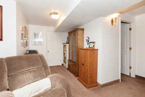 Living room featuring carpet floors