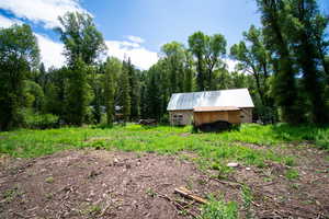 Back of Cabin and Shed