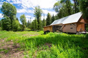 Back of Cabin and Shed