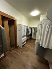 Spacious closet with wood-type flooring