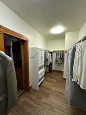 Spacious closet featuring hardwood / wood-style flooring