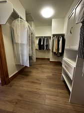 Spacious closet featuring light wood-type flooring