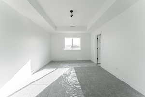 Carpeted spare room featuring a raised ceiling