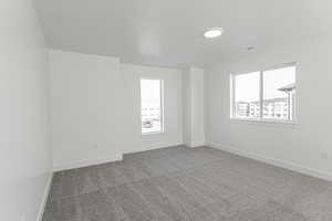 Carpeted spare room featuring a wealth of natural light