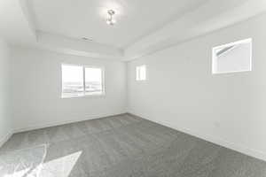 Carpeted spare room with a tray ceiling