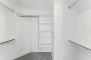 Spacious closet featuring carpet floors