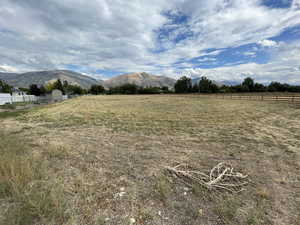 View of yard with a mountain view and a rural view