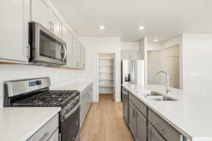 Kitchen with light hardwood / wood-style flooring, stainless steel appliances, gray cabinetry, and sink