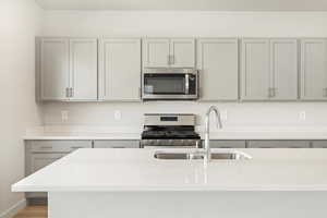 Kitchen with gray cabinetry, sink, light hardwood / wood-style flooring, and stainless steel appliances