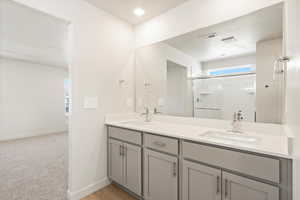 Bathroom with vanity and a shower with door