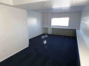 Carpeted empty room featuring a textured ceiling