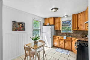 Kitchen with backsplash, white fridge, a healthy amount of sunlight, and black gas stove