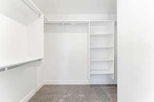 Spacious closet featuring carpet flooring