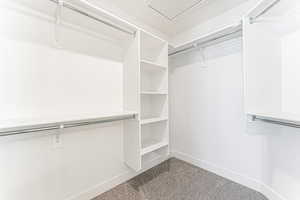 View of walk in closet