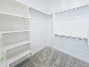 Spacious closet featuring carpet