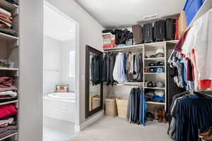 Spacious closet with light colored carpet