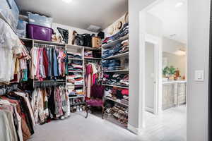 Spacious closet featuring light carpet