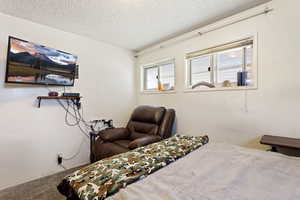 Carpeted bedroom with a textured ceiling