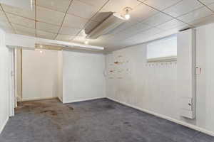 Basement with dark carpet