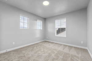 Unfurnished room featuring carpet flooring and a textured ceiling