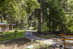 View of property's community featuring a lawn