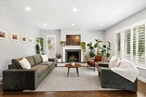 Living room featuring dark wood-type flooring