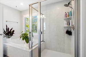 Bathroom with separate shower and tub