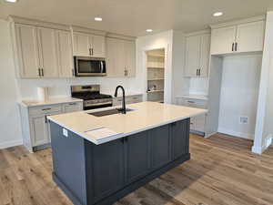 Kitchen with tasteful backsplash, stainless steel appliances, sink, light hardwood / wood-style floors, and an island with sink