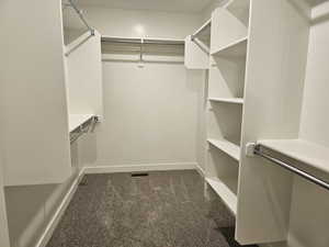 Walk in closet with carpet flooring