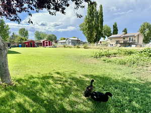 View of yard featuring a shed