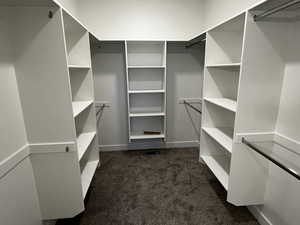 Walk in closet featuring dark colored carpet